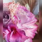 Bouquet poudré