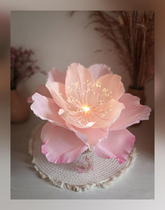Fleur lumineuse rose douceur