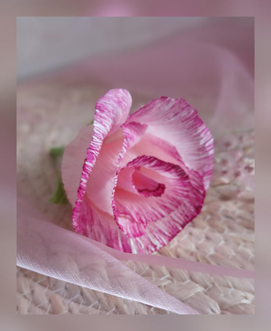 Bouton de rose et son sac cadeau kraft, frais de port compris