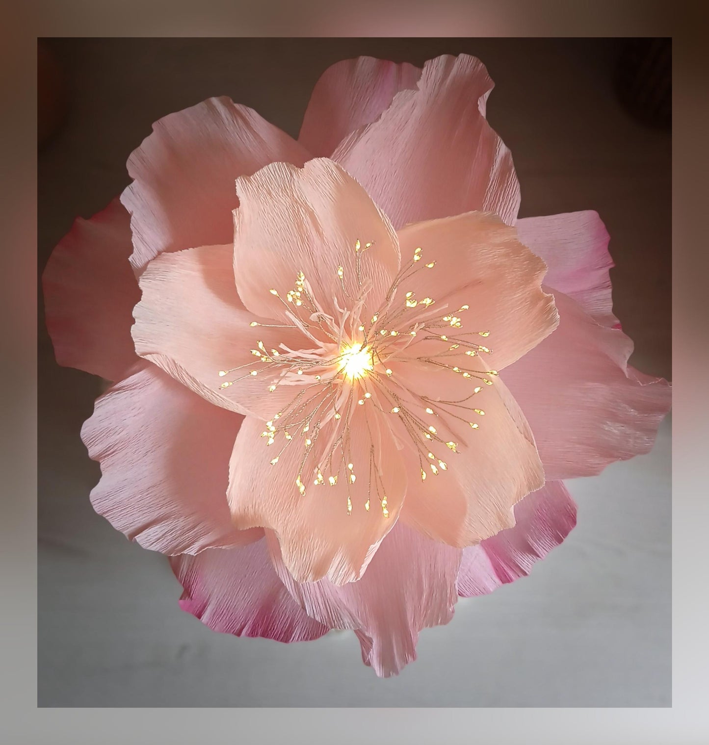 Fleur lumineuse rose douceur