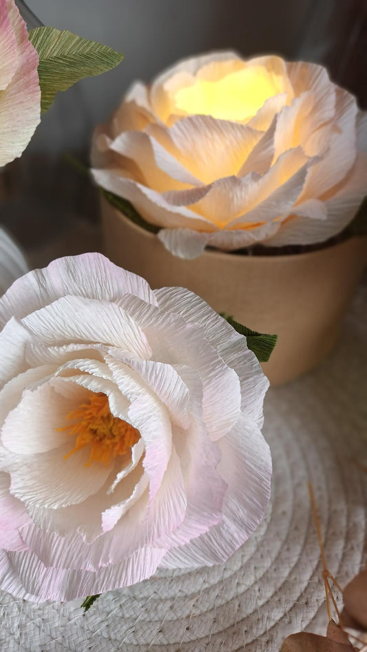 Boite cadeau fleurie lumineuse