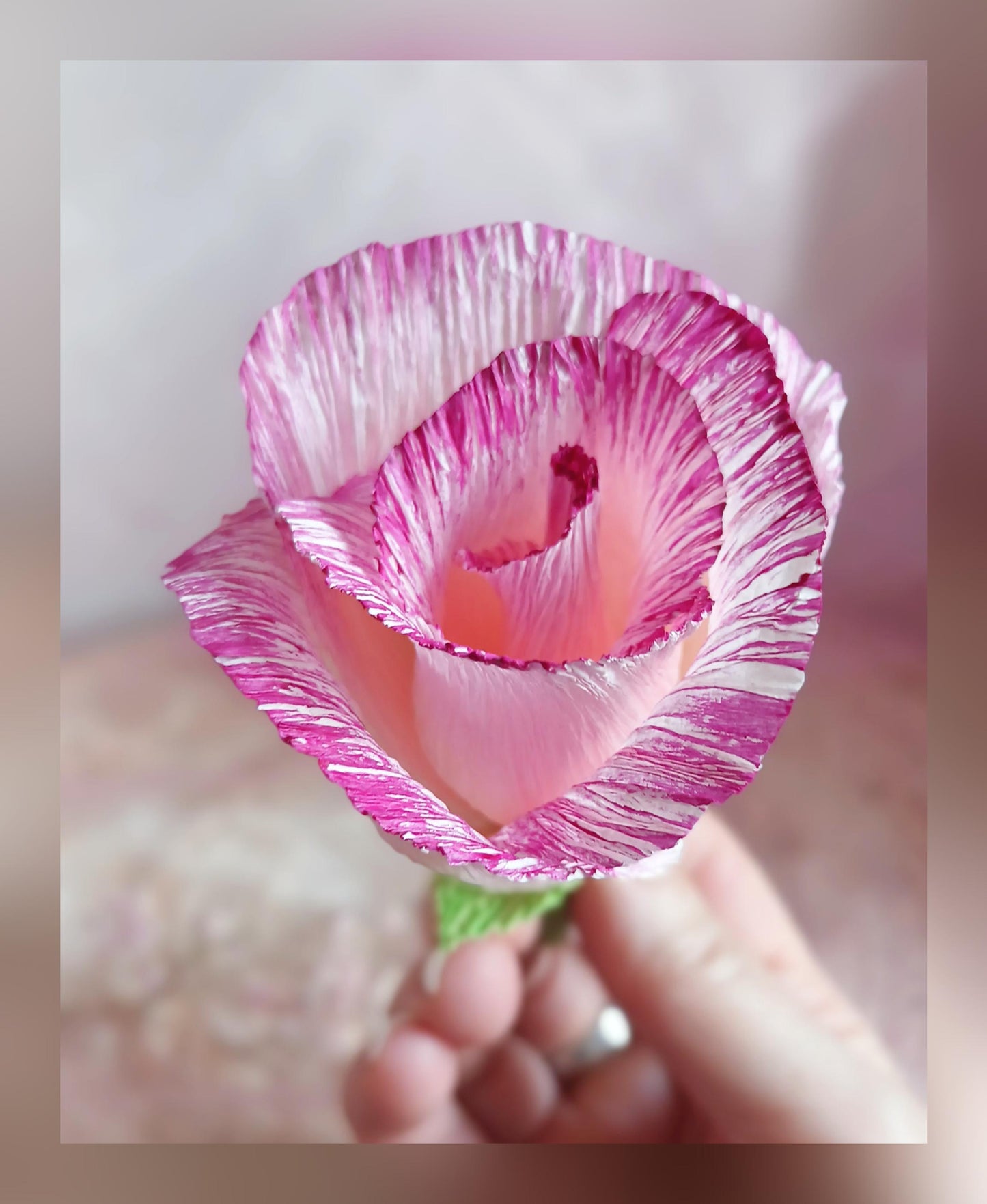 Bouton de rose et son sac cadeau kraft, frais de port compris