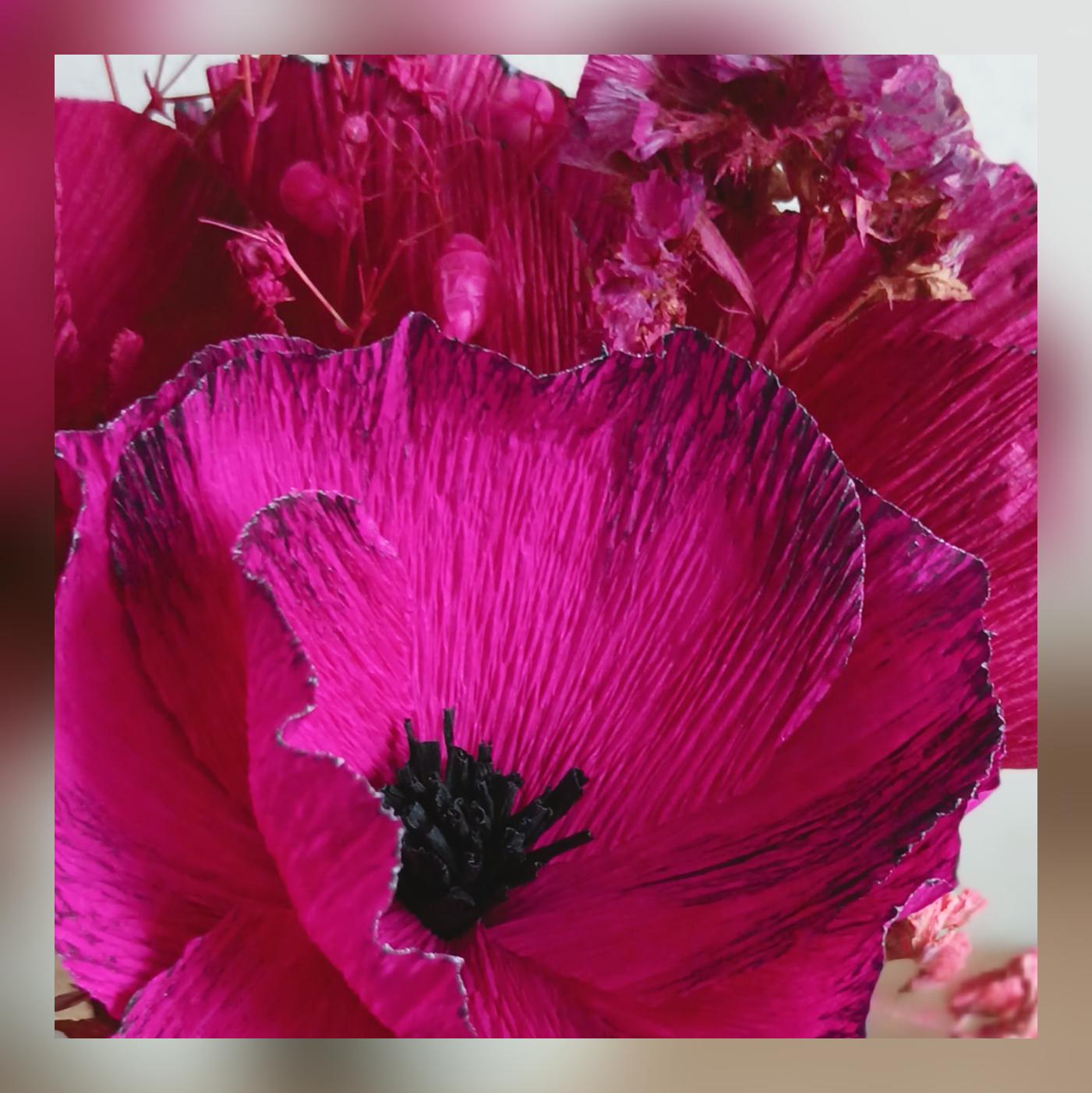 Composition Coquelicots