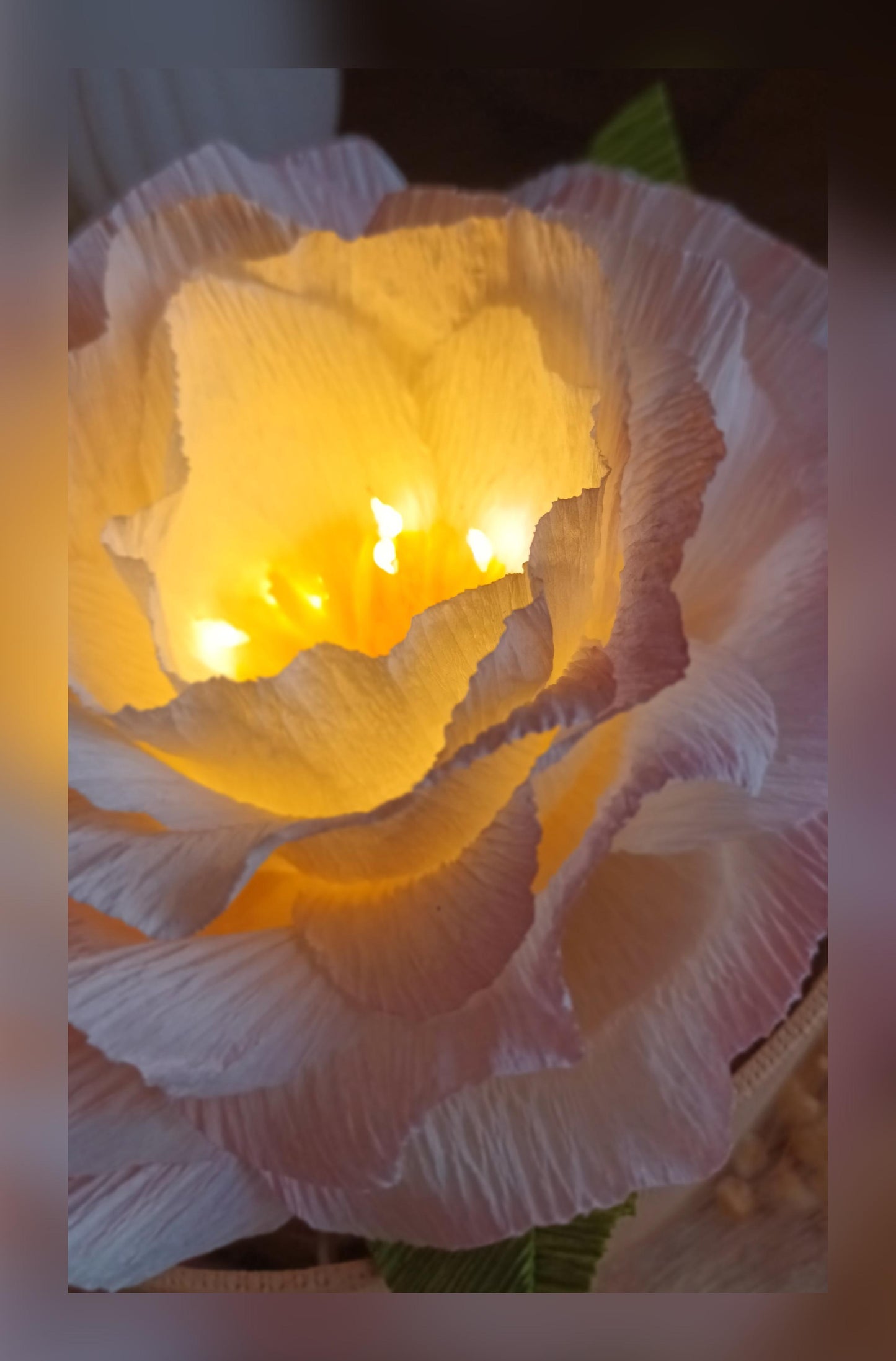 Boite cadeau fleurie lumineuse