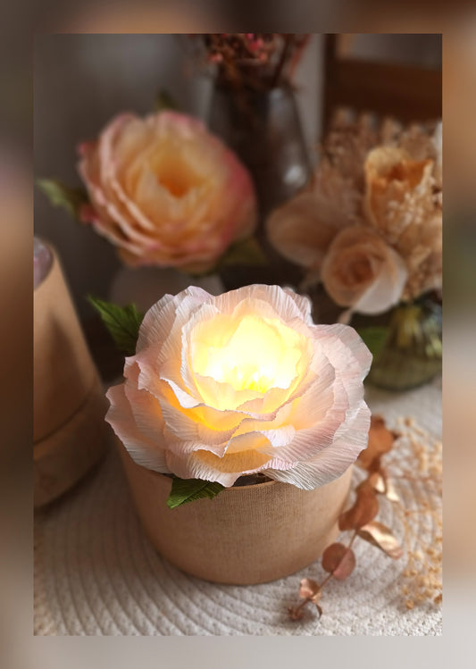 Boite cadeau fleurie lumineuse